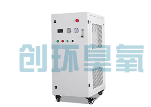 桂林石斑鱼养殖水质调控完整指南:臭氧发生器配置与操作步骤