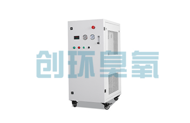 桂林比传统换水更高效?臭氧发生器在石斑鱼养殖中的水质净化原理解析