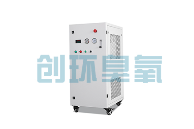 桂林比传统换水更高效？臭氧发生器在石斑鱼养殖中的水质净化原理解析